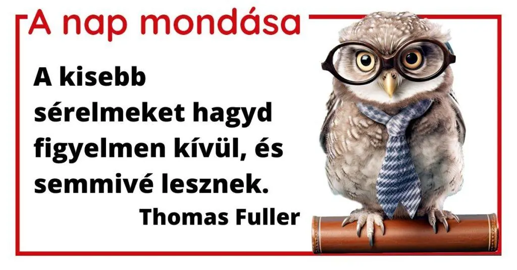 Fuller idézet